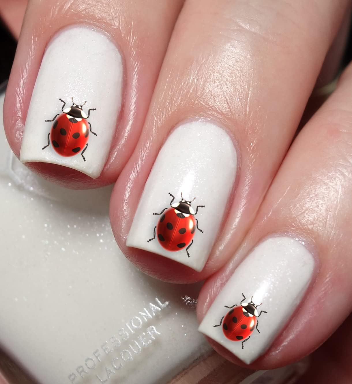Ladybird Ladybug Lady Beetle Nail Art Decal Sticker