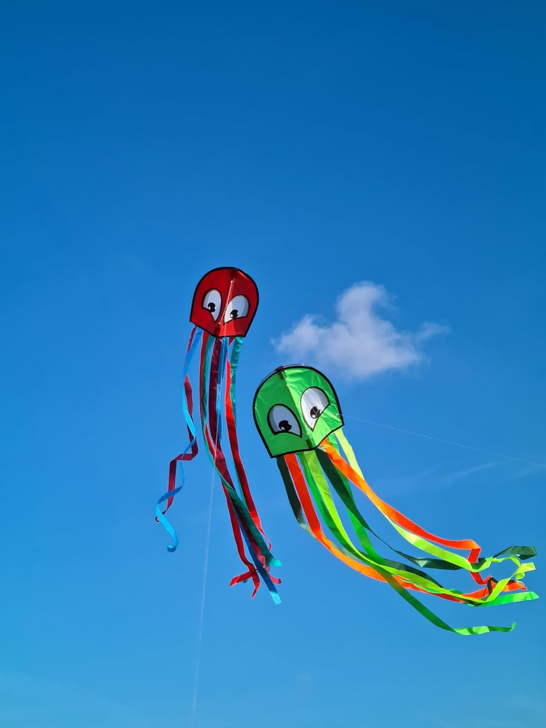 G&uuml;nther Flugspiele Octopus 1163 Single Line Kite, Approx. 250 X 33 Cm, Children'S Kite Made of Robust Polyester, Includes Handle and Cord, Outdoor Toy for Children from 4 Years, in 2 Assorted Colours