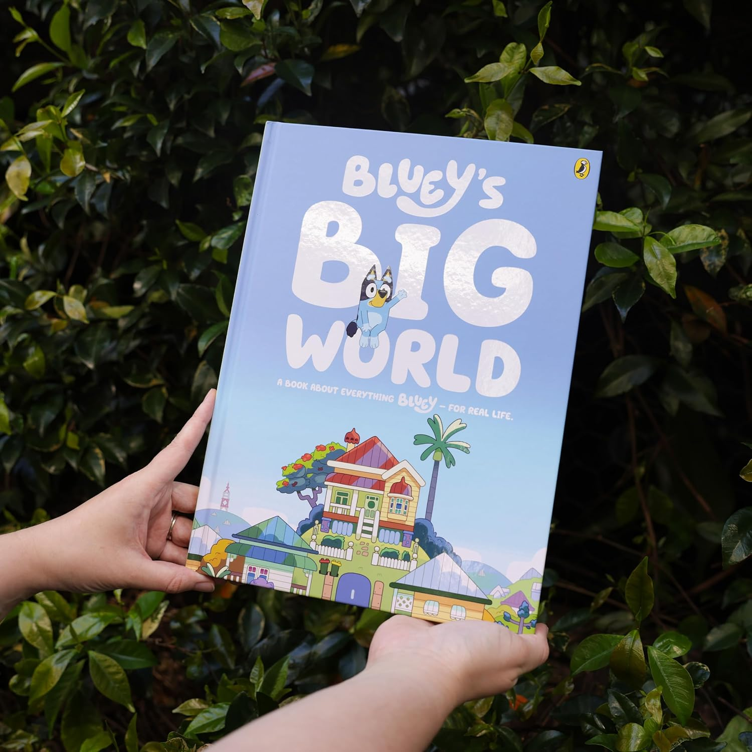 Bluey: Bluey'S Big World: a Book about Everything Bluey - for Real Life.