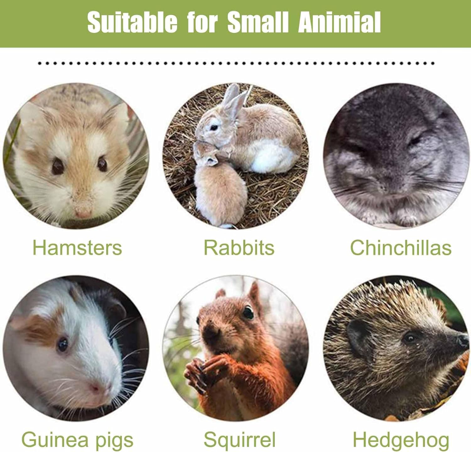 20PCS Rabbit Toys Bunny Chews Timothy Hay Stick,Bunny Toys for Rabbits, Hamster Guinea Pig Small Animal Chew Toys,Pet Chew Toy Treats for Chinchilla Guinea Pigs Rabbits Squirrel Hamster Bunny image number 5