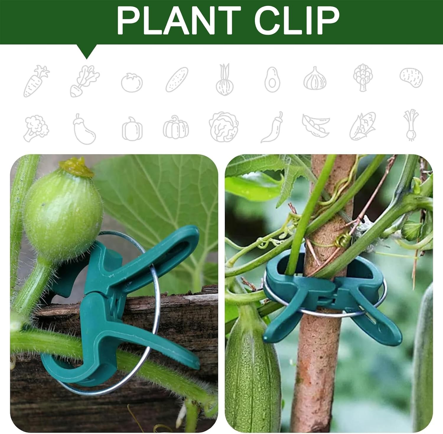 Plant Support Clips for Vines & Tomatoes | Reusable Garden Clips for Strong Vine Support & Healthy Growth | Ideal for Tomato Plants and Climbing Garden Plants (20Small 20Big) image number 1