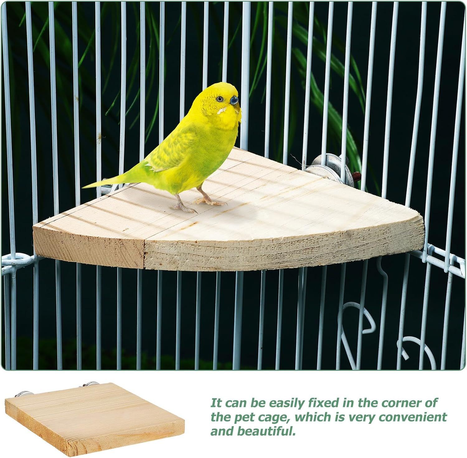 GANAZONO 2 Pcs Wooden Bird Perch Platforms for Parakeets and Small Birds Flat Natural Wood Stands with Screw Mounts Non-Toxic Cage Accessories for Cockatiels Conures Finches Slip-Resistant image number 3