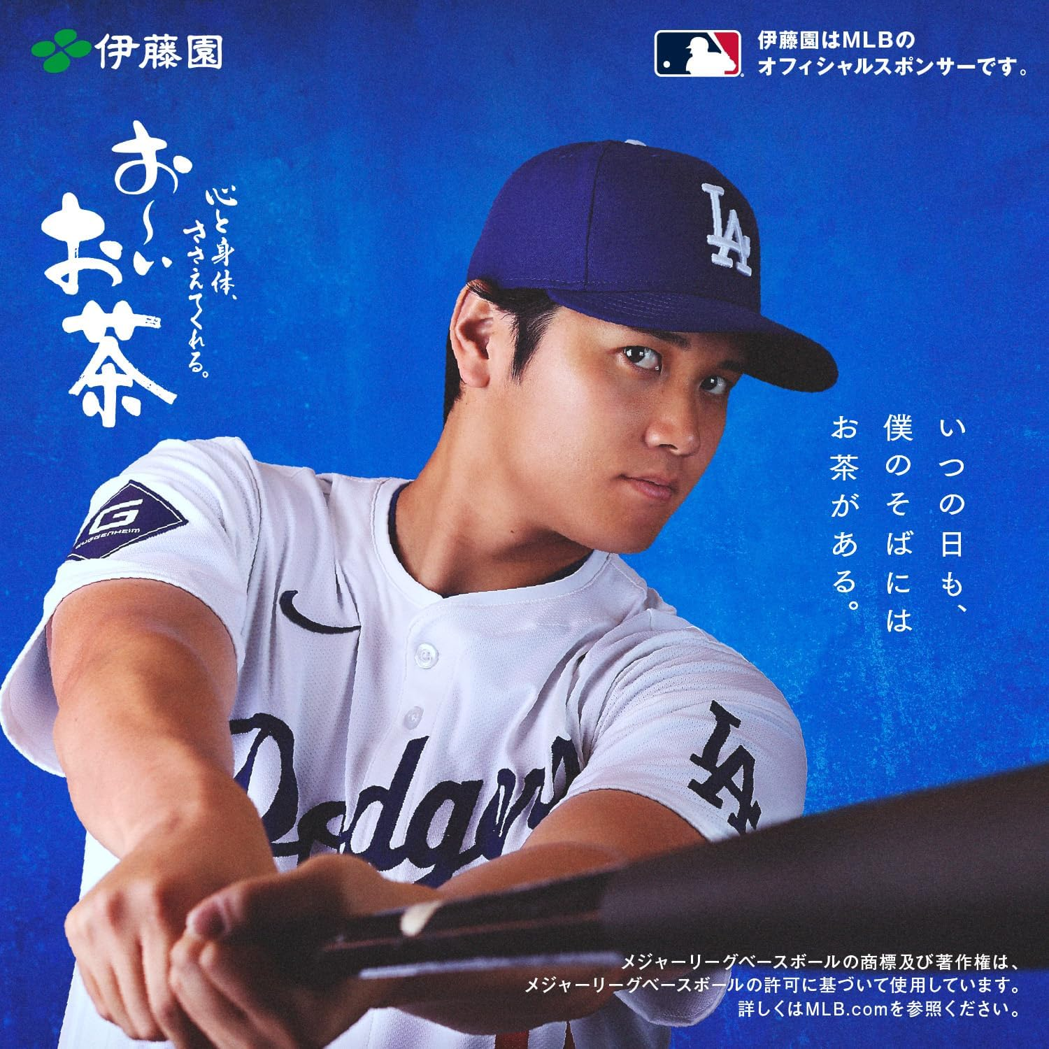 Itoen Oi Ocha Roasted Tea Powder, 1.4 Oz (40 G), Zipper Bag Type image number 6