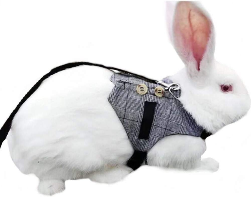 Multipurpose Rabbit Vest Harness and Leash Set Small Animal Adjustable Soft Harness with Button Decor Formal Suit Style for Bunny Rabbit Kitten Small Animal Walking (S)