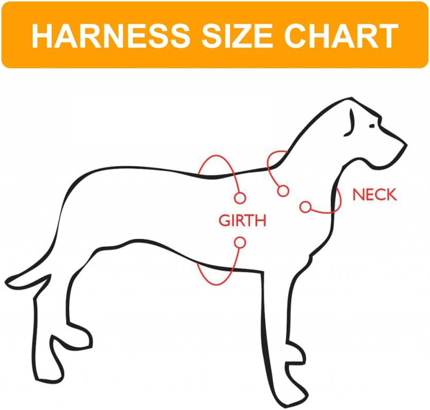 Dog Harness, Dog Harness, Small Dogs, Anti-Pull Dog Harness, Reflective Soft Padded Dog Harness, Chest Harness for Puppies, Puppy Harness with Lead image number 4