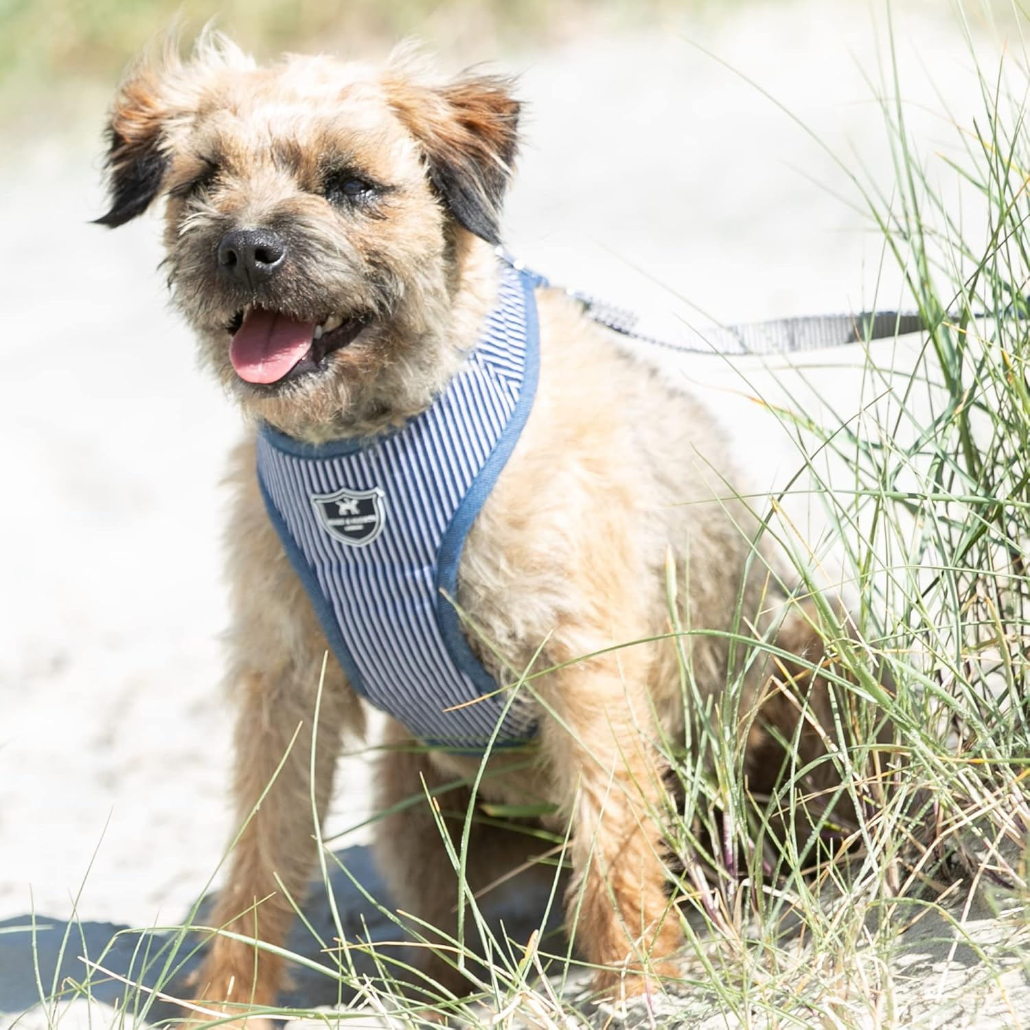 HUGO & HUDSON Dog Harness No Pull Adjustable Fabric Rear Buckle Pet Vest, Navy Striped, L