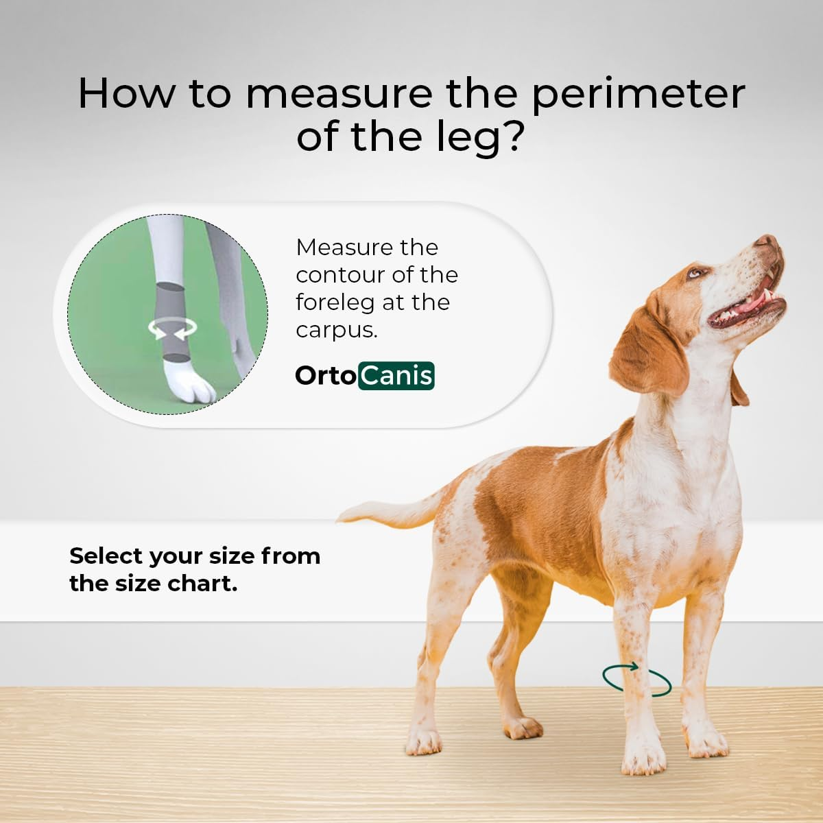 Ortocanis - Carpal Support for Dogs - Carpal Support with Immobilisation Splints for Instability, Osteoarthritis or Hyperextension - Stabilises and Relieves Pain - Size XXXL 19-23 Cm image number 2