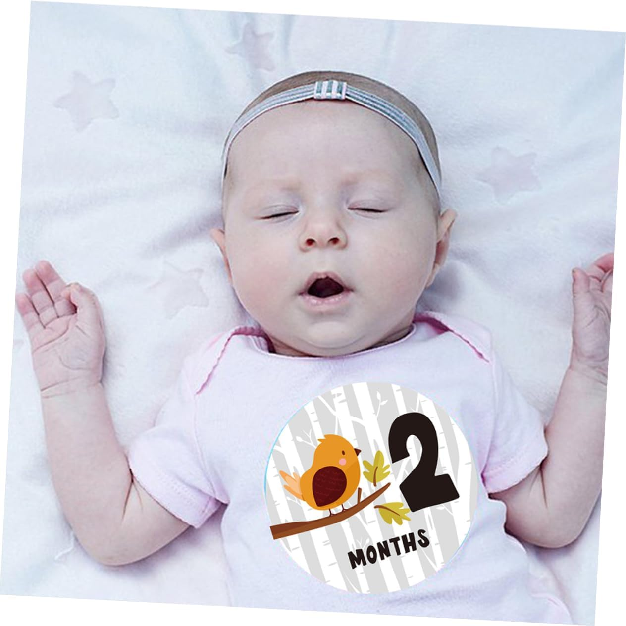 12Pcs Milestone Stickers Months Newborn Photography round Shape Animal Pattern Belly Stickers image number 4
