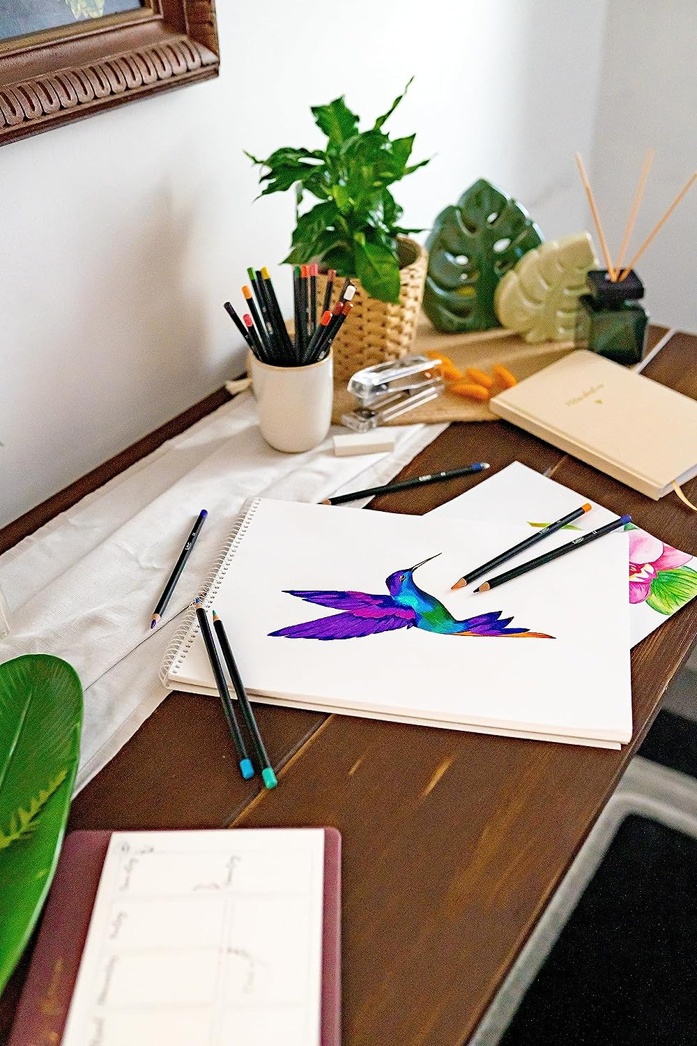 BIC Intensity Premium Colouring Pencil - Pack of 12 Fashion Assorted Wood Colour Pencils image number 1