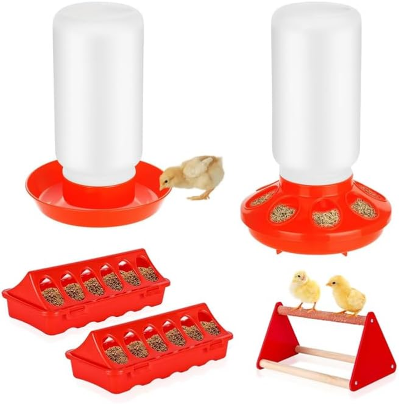 Poultry Feeding & Watering System with Comfort Perch, Durable Plastic Combo for Chicks/Ducks/Quail | Auto-Dispensing Troughs & Anti-Drown Design image number 6