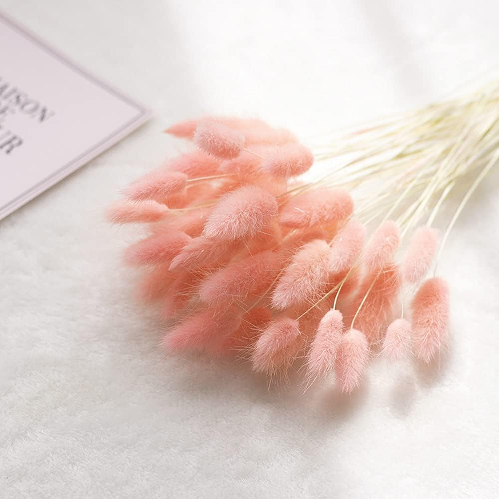 XHXSTORE 60Pcs Pink Pampas Grass Dried Flowers Bouquet for Home, Garden, Wedding, DIY Craft, Farmhouse Table Decor (17")