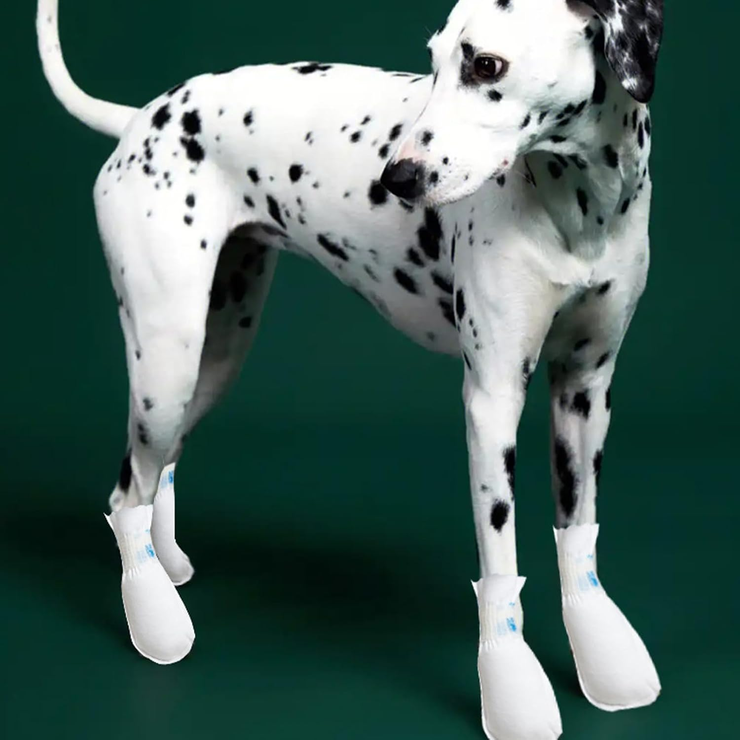 Dog Paw Protector,Elastic Puppy Foot Cover - Breathable Scratch-Proof Dog Paw Protector Booties for Running Outdoors Walking Hiking image number 6