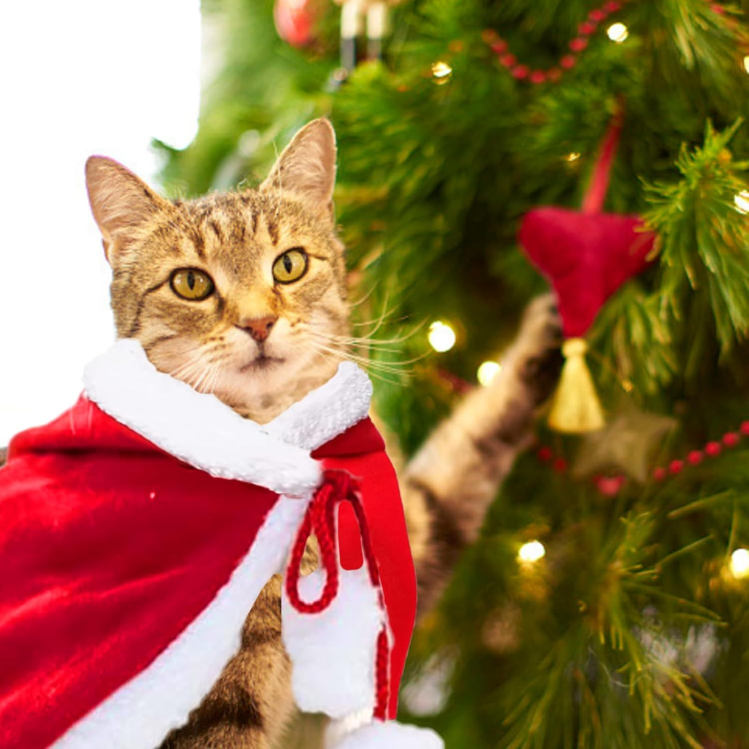 Cat Costume Christmas Costume Cats Dog Costume Red Plush Warm Christmas Clothing Pet Christmas Hat Adjustable Cape Christmas Party Winter Outfit image number 6