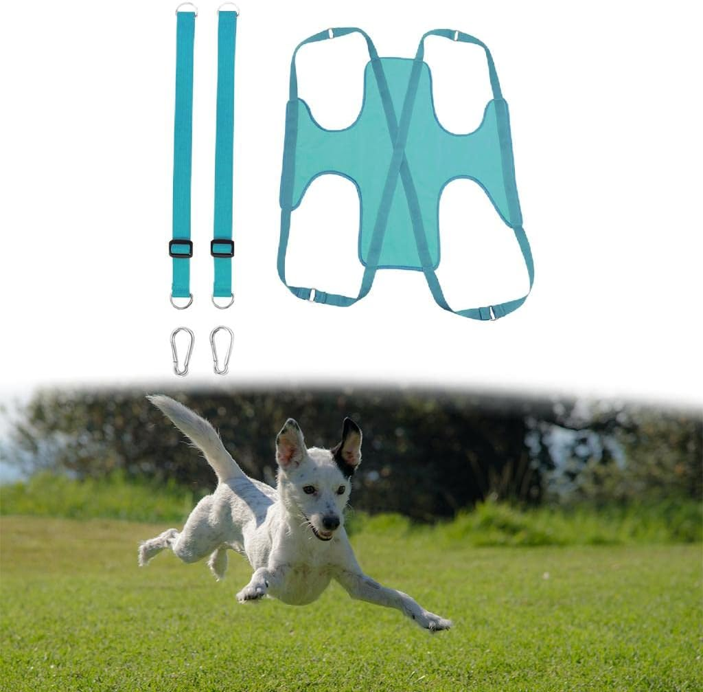 P Cat and Dog Hammock Helper Dog Holder Pet Grooming Hammock Harness for Grooming Washing, Gray L