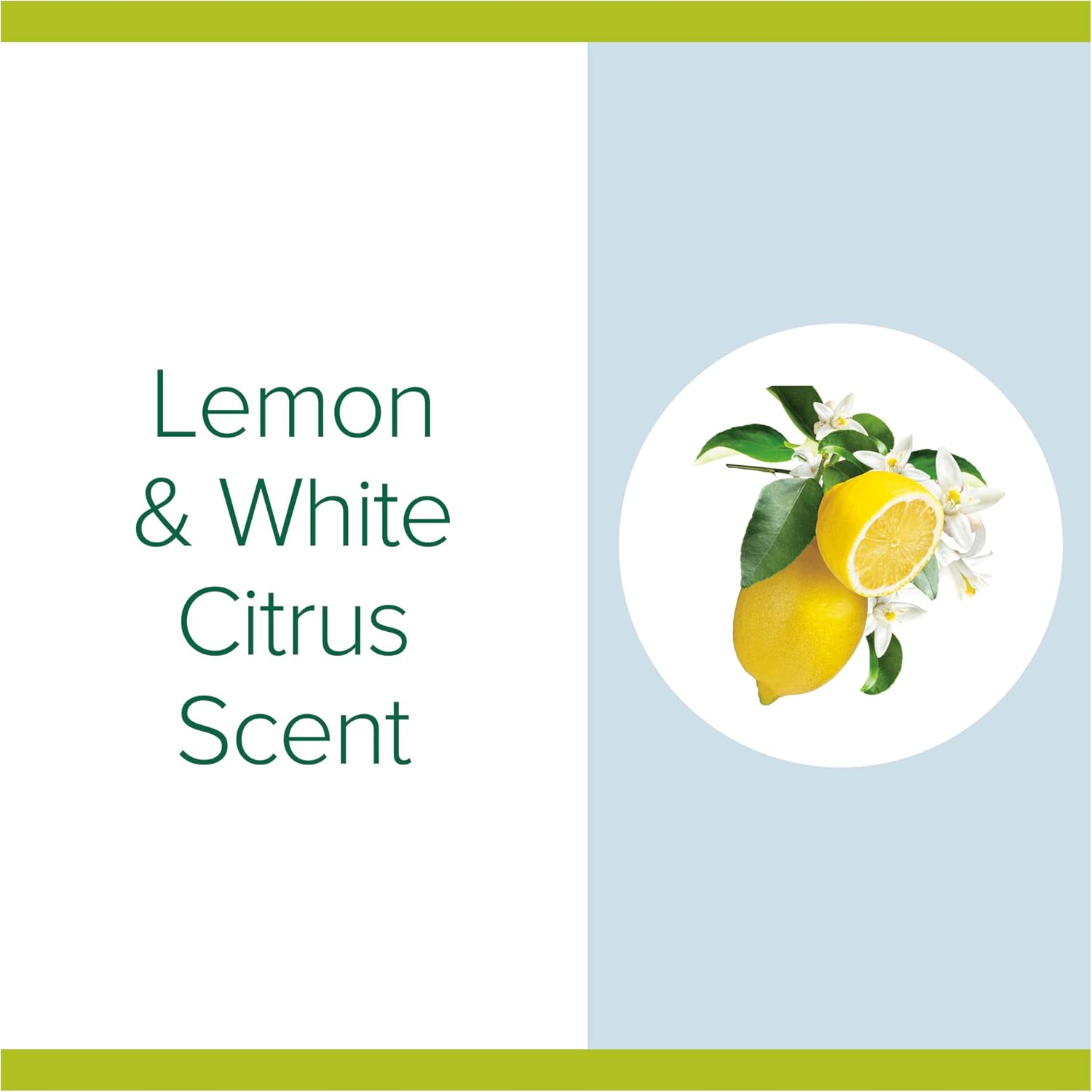 Palmolive Lemon and White Citrus with Vitamin E Hand Sanitiser 200 Ml image number 5