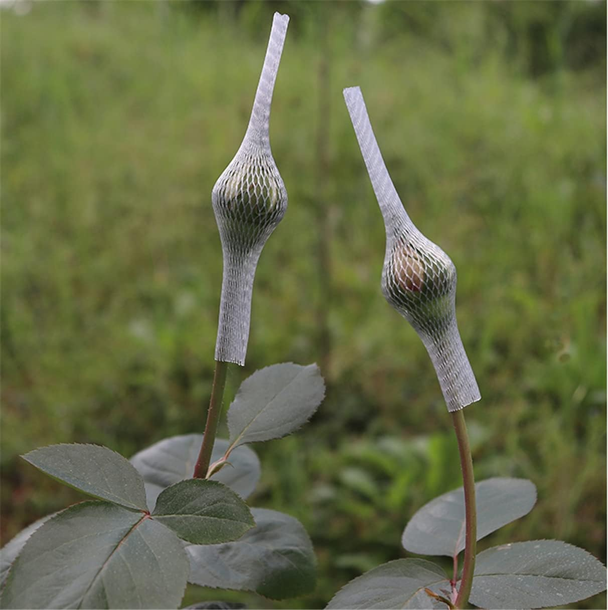 UXOWOXU 100PCS Rose Buds Protection Mesh Cover - Rosebud Protective Netting Covers image number 5