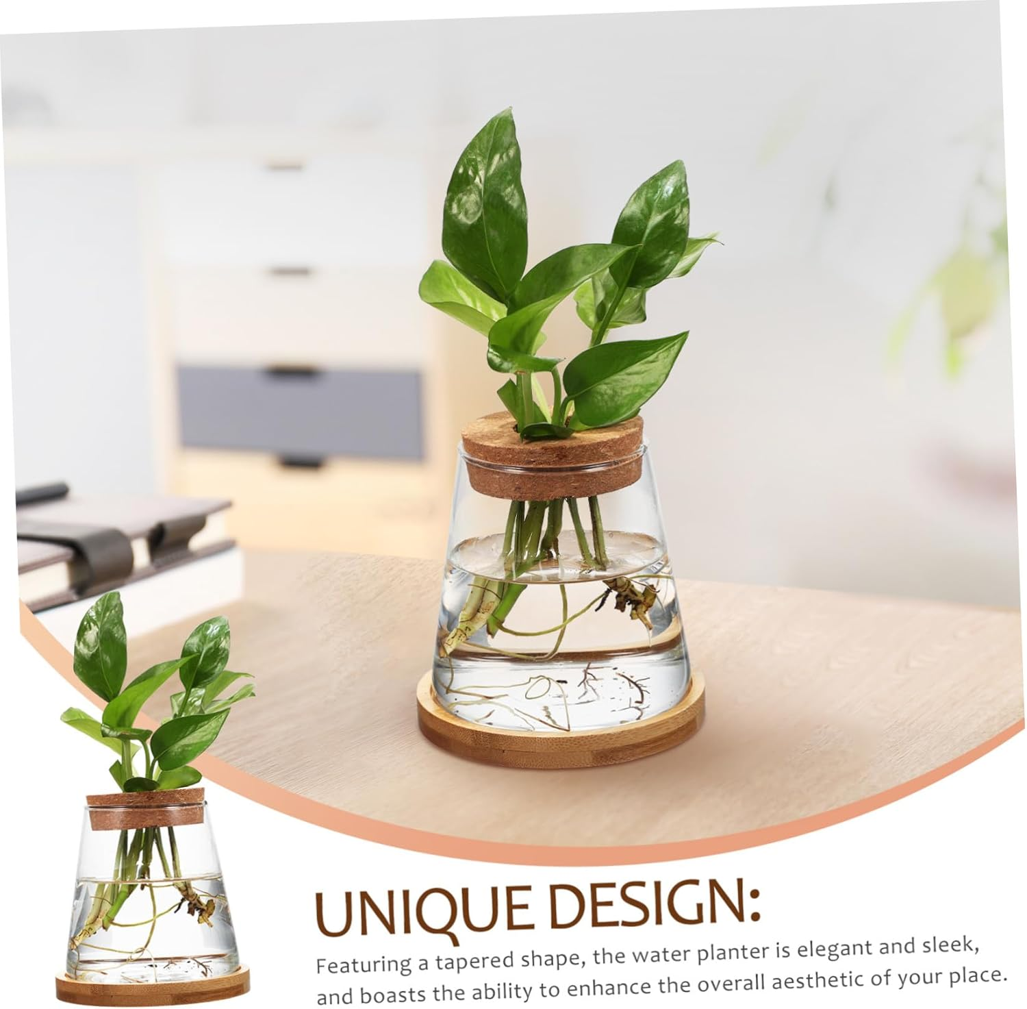 COHEALI 2Pcs Clear Glass Propagation Station with Base Transparent Water Planter Bottles for Hydroponic Plants Compact Vases for Indoor Desk Apartment Office Decoration image number 3