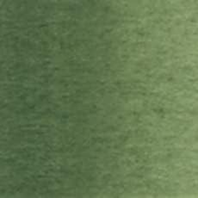 Holbein Artists Watercolor Green Grey 5Ml