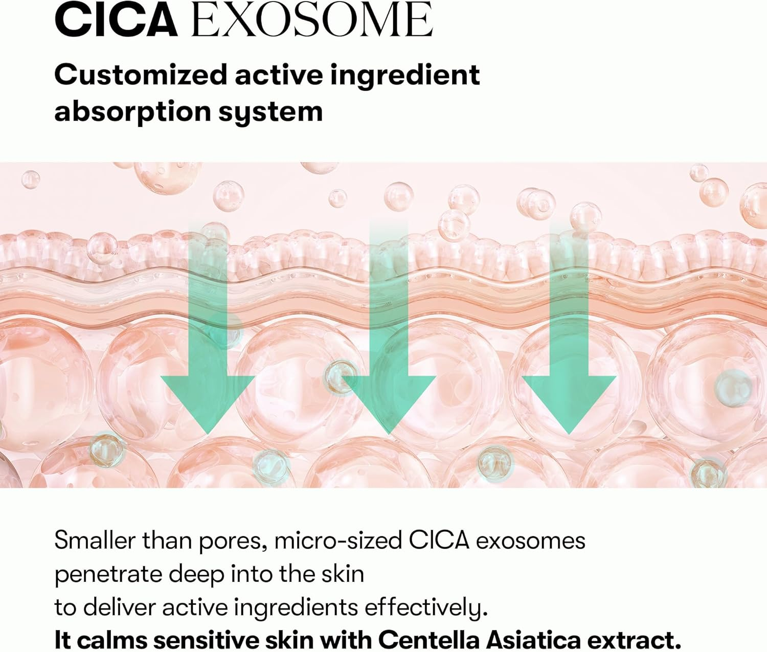 VT COSMETICS PDRN Cica Exosome Ampoule, Firming Serum with Peptide & Ceramide for Anti-Aging, Wrinkle Care, Plumping, Hydration & Radiant Glow, for All Skin Types, Korean Skincare (1.01 Fl. Oz.) image number 2