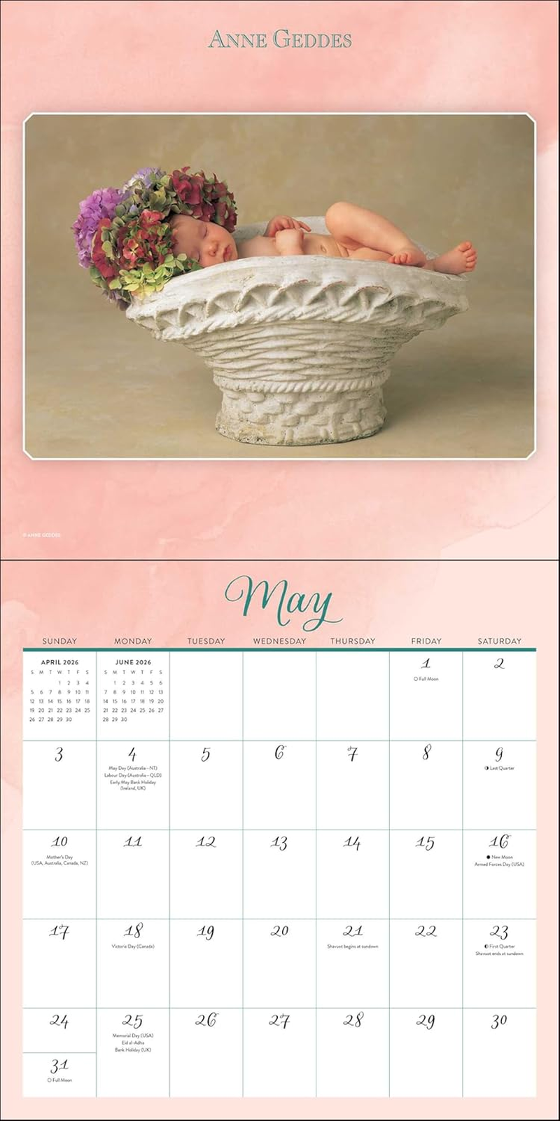 Anne Geddes 2026 Wall Calendar: down in the Garden image number 4