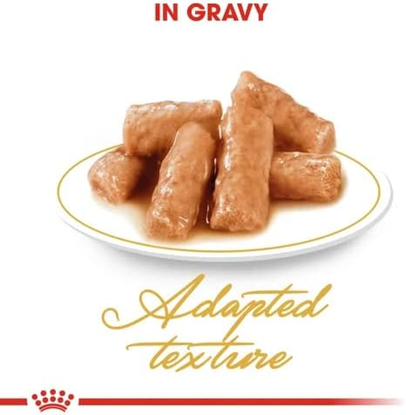Royal Canin British Shorthair in Gravy Adult over 12 Months Pouches Wet Cat Food 85 GMS 12 Pack image number 6