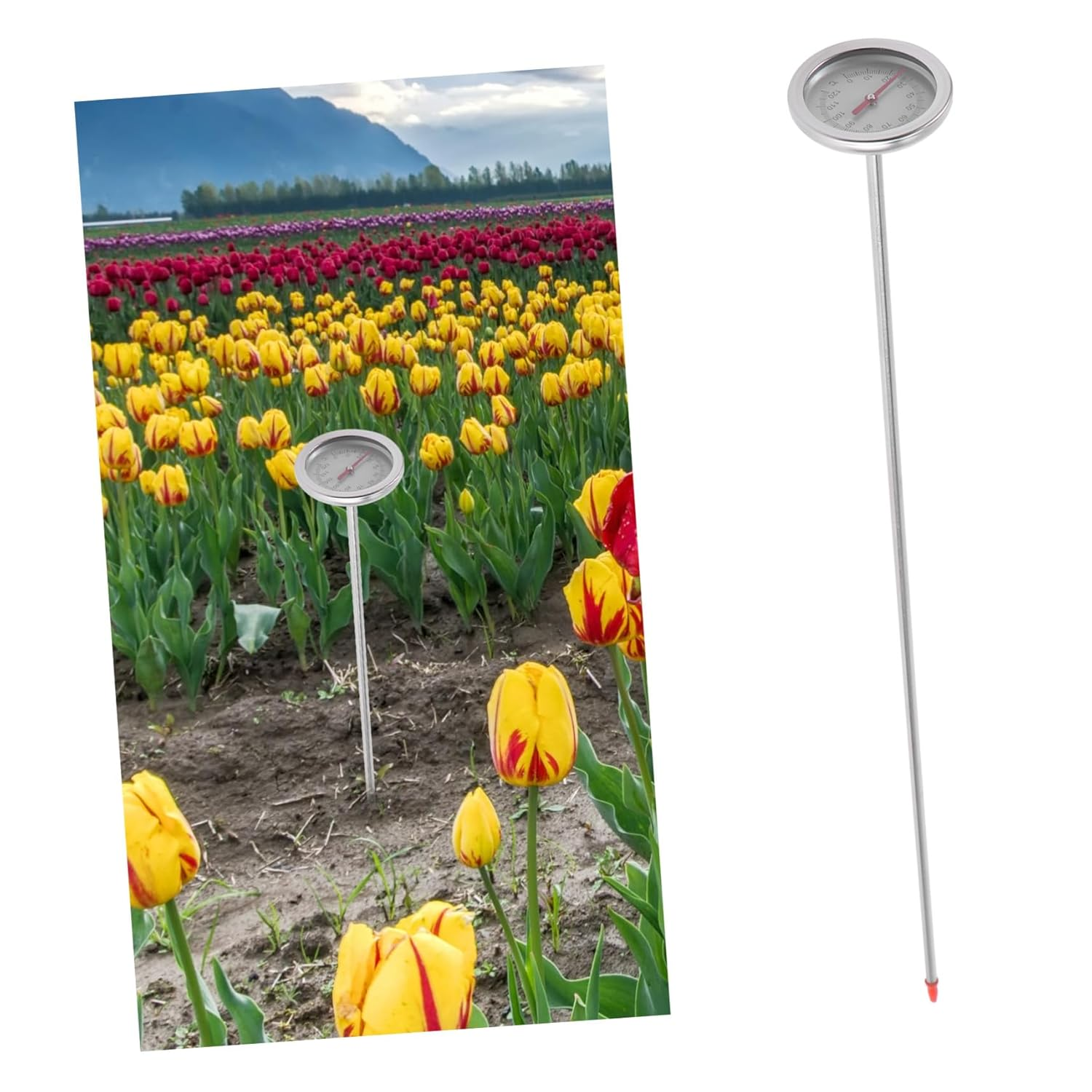 VICASKY Precise Stainless Steel Soil Thermometer Gardening Tool with Probe for Accurate Compost and Soil Temperature Measurement image number 3