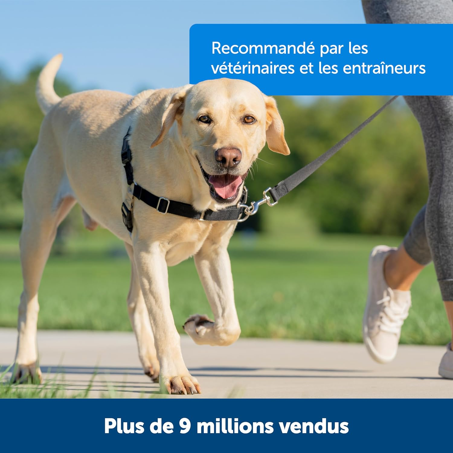 Petsafe Easy Walk Harness for Small/Medium/Large Dogs, Medium, Pink, 1.8 M Lead