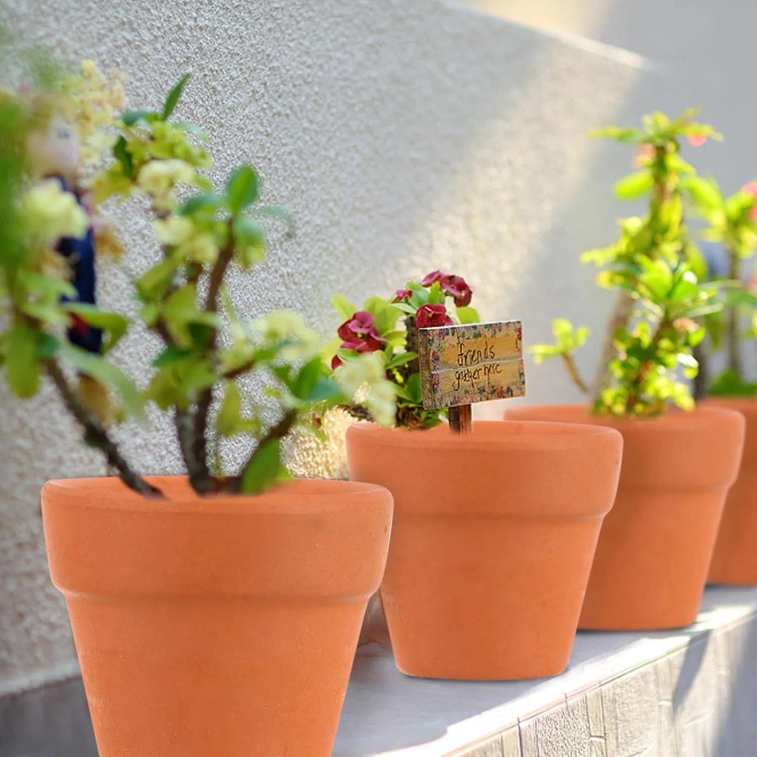 30 Pcs Mini Terracotta Pot for Plants, Succulent Planter with Drainage Holes, Clay Flower Pots for Indoor/Outdoor Garden, Small Planters for DIY Craft Projects, 3Cm &ndash; Unron image number 4