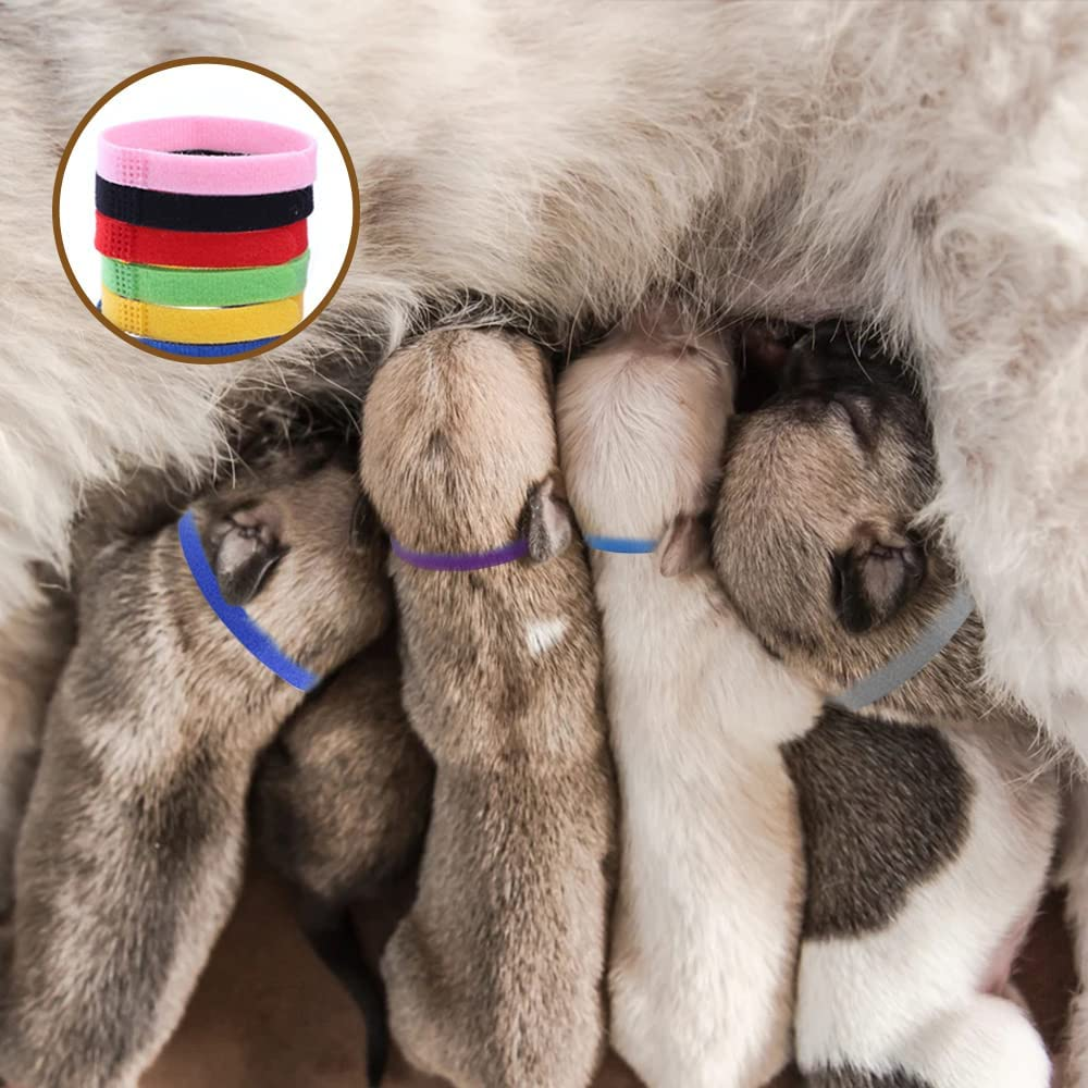 30Pcs Puppy Collars, Kittens Whelping Collars, Adjustable Identification Dog Collar, Double Sided Soft Nylon Collar Strap for Newborn Pet image number 4