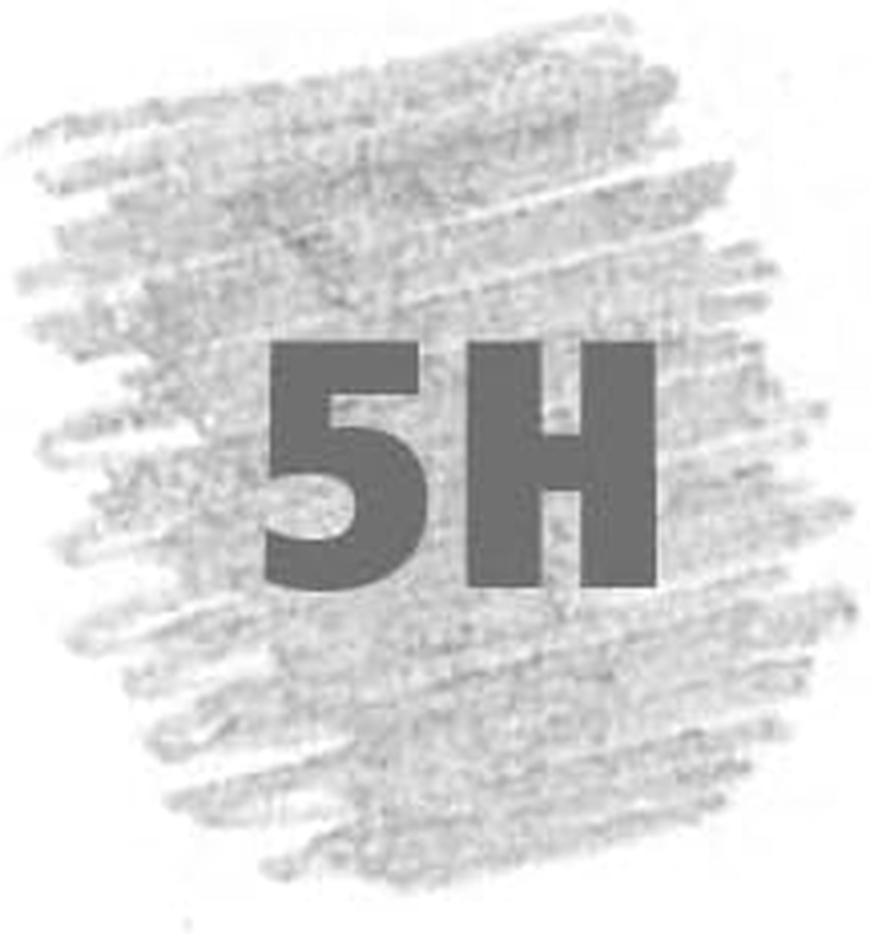 Staedtler Artist Pencils Mars Lumograph, 5B Artist Quality Sketching and Drawing, Box of 12 (100-5H), Grey - 1 Count (Pack Of 12), 100-6H image number 3