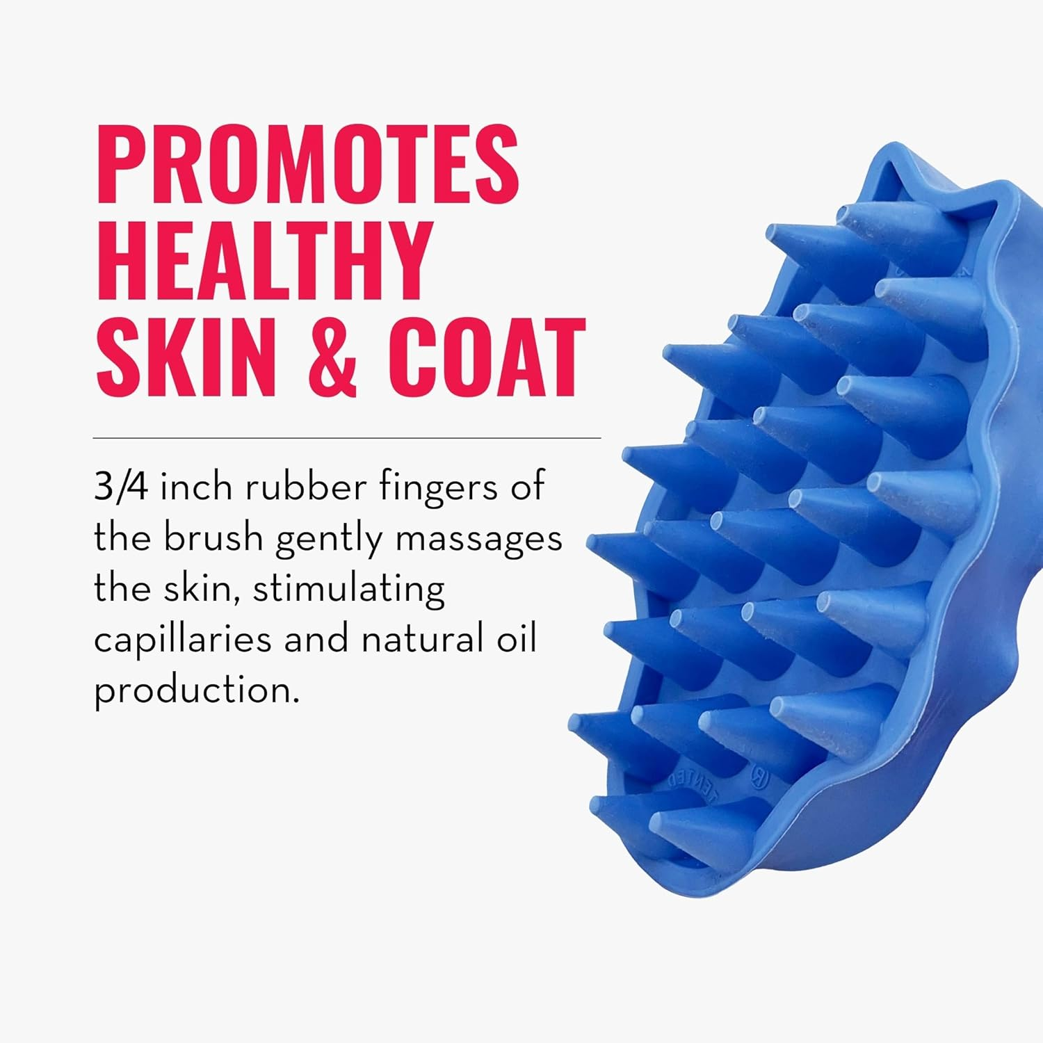 KONG - Zoomgroom - Dog Brush for Grooming and Shampooing - for Large Dogs (Blue) image number 2