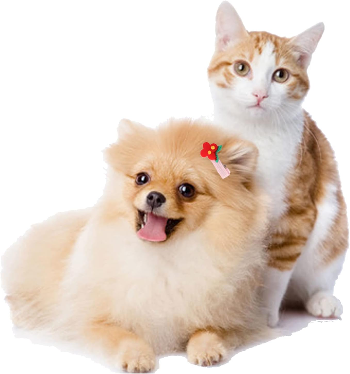 20Pcs Pet Hair Clip, Flower Shape Resin Lovely Sweet Cute Dog Hair Barrettes, Pet Headdress Pet Grooming Hairpin Pet Grooming Hair Accessories for Small and Medium Pets image number 4