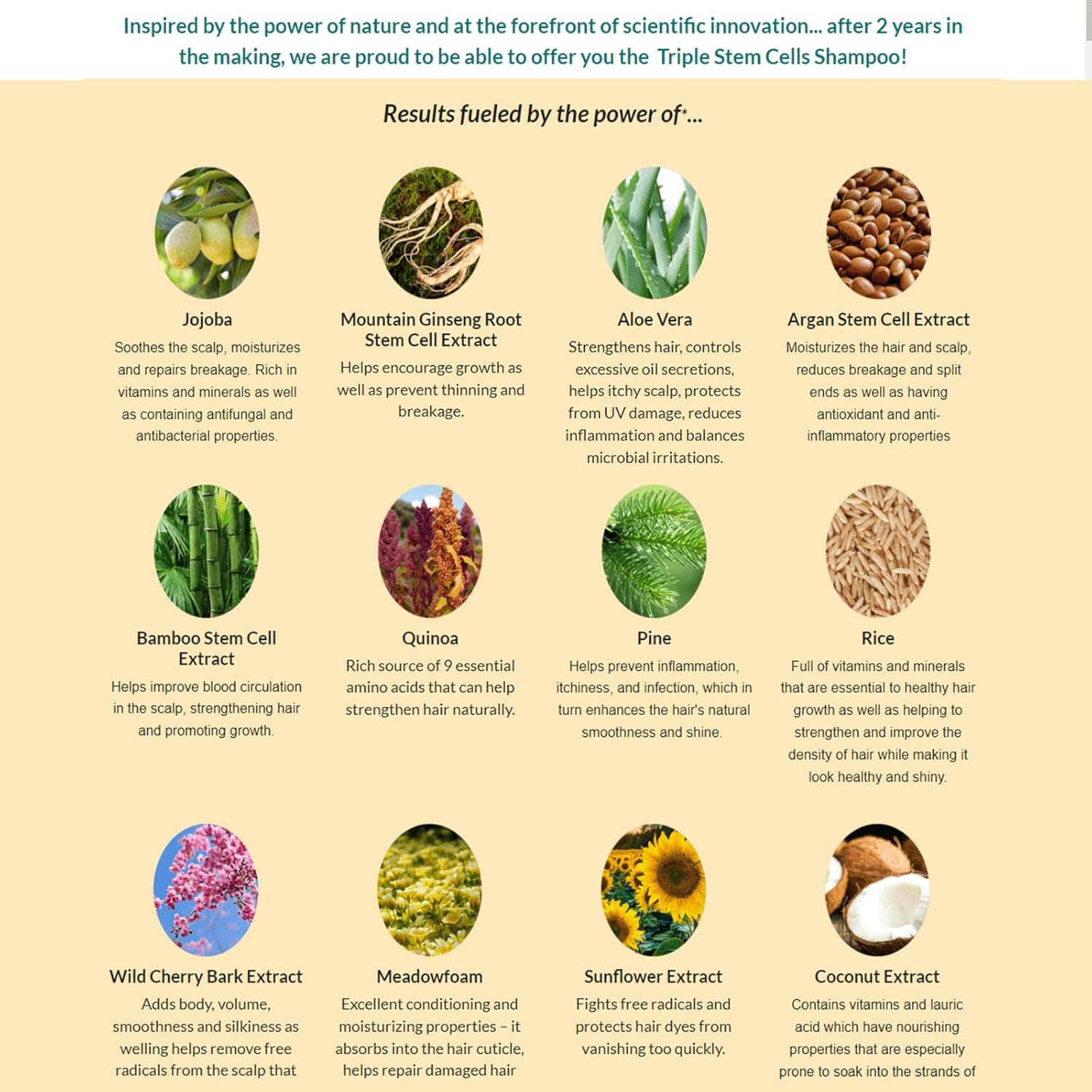 More Hair Naturally TRIPLE STEM CELL SHAMPOO: State of the Art Hair Improvement (Newest Version of Kevis 8 Shampoo) image number 1