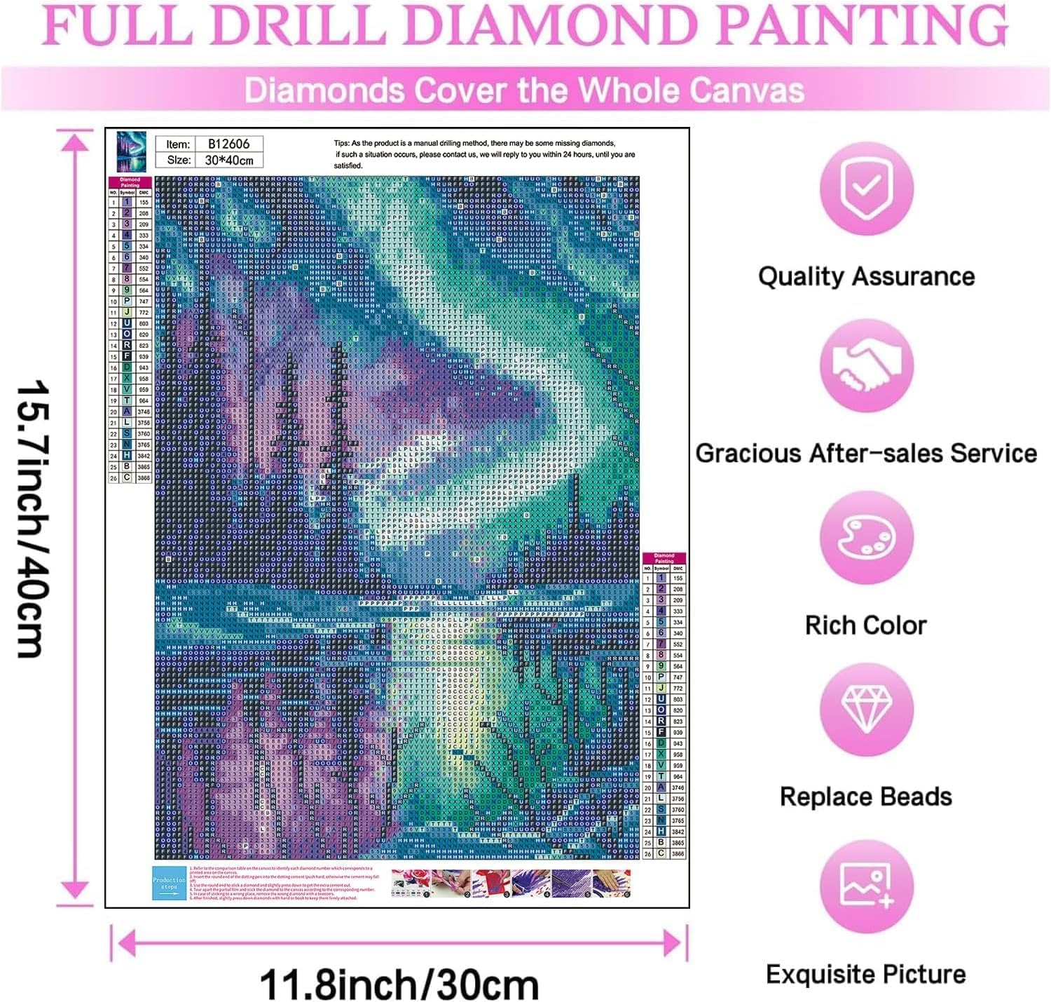 Diamond Painting Kits for Adults, Aurora Full Drill round Diamond Art Diamond Dots Suitable Home Wall Decor Gem Art 12X16Inch