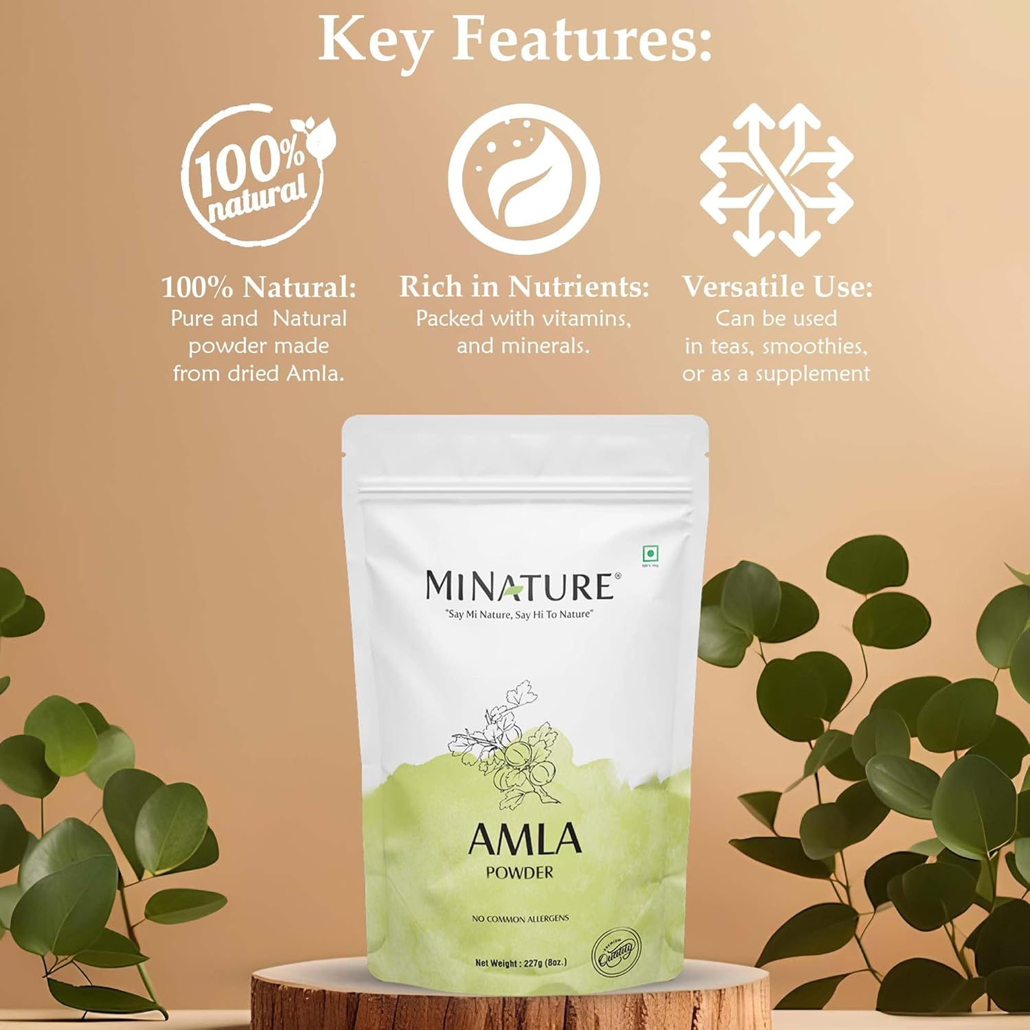 Amla Powder by Mi Nature| Amalaki or Indian Gooseberry |Vitamin C |Hair Care/Mask/Pack 454G (16 Oz) | Non-Gmo |Pure & Natural | Raw, Vegan, Gluten Free | Made in India Preservatives Free image number 4