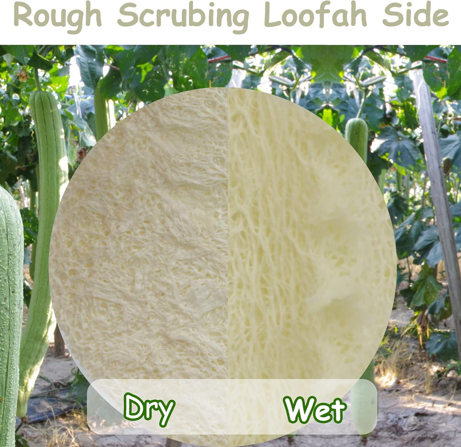 (20 PACK) Mini-Sided Exfoliating Complexion Pure Loofah Face Pad Renewable Shower Scrubber Sponge Smooth Disc Pad Scrubber Makeup Cleanser Pad image number 1