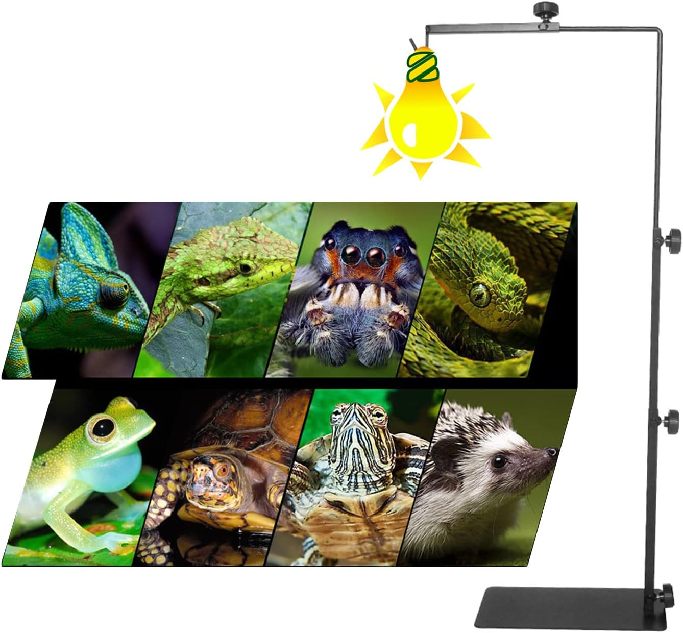 Adjustable Reptile Lamp Stand(16 to 25.2 Inch), Landing Lamp Holder Bracket with Base for Reptile Glass Terrarium Heating Light