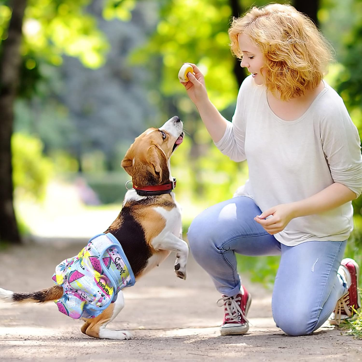 3PCS Female Pet Dog Cat Nappies Set,Washable Sanitary Wraps Panties for Puppy Reusable Nappies Super Absorbent Diapers for Small Medium Large Incontinence Dog image number 6