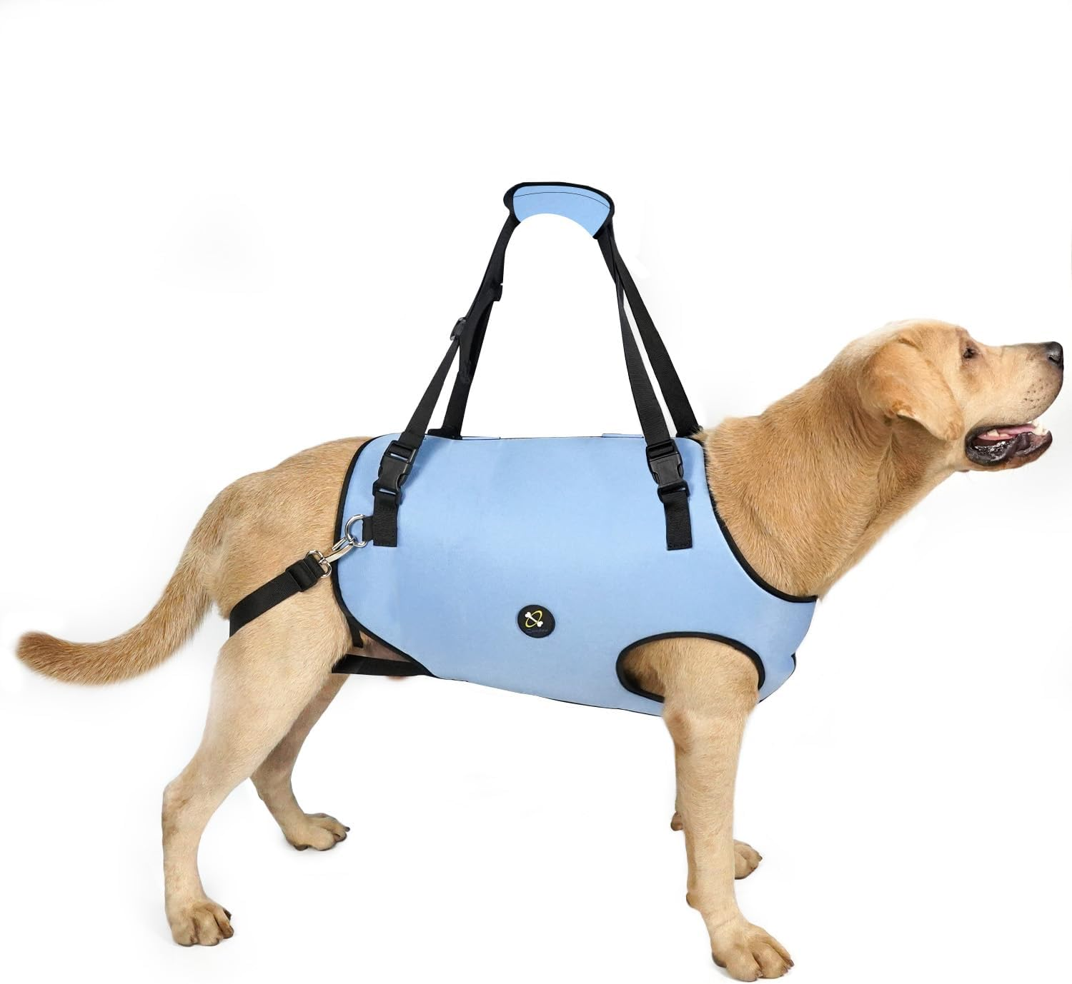 COODEO Dog Lift Harness, Pet Support & Rehabilitation Sling Lift Adjustable Padded Breathable Straps for Old, Disabled, Joint Injuries, Arthritis, Loss of Stability Dogs Walk (Small) image number 4