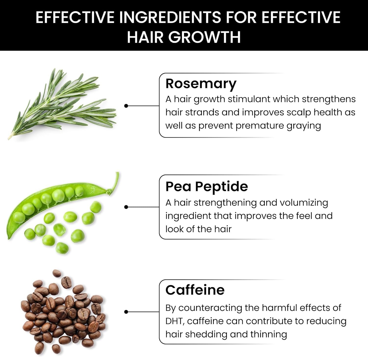 Thriveco Rosemary Hair Conditioner for Voluminous Hair | Densifying & Stimulating Hair Growth | with Pea Peptide & Caffeine | Paraben & Sulfate Free | for Men & Women | 250Ml image number 2