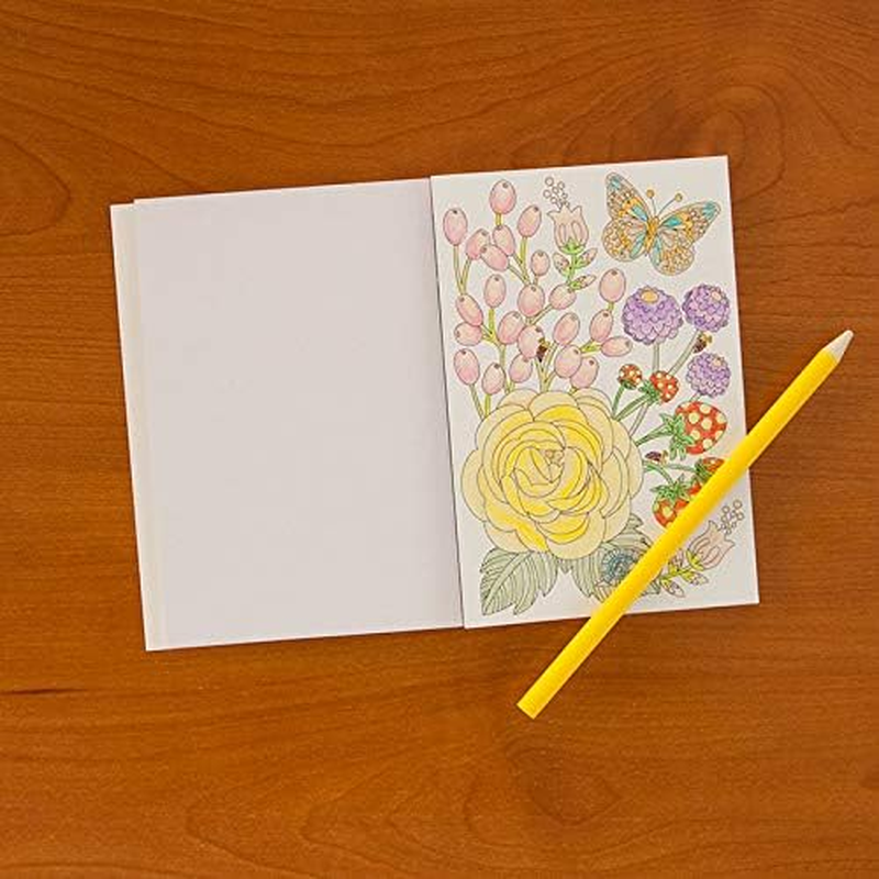 Wellspring Drawing Pad and Book (6382) image number 1