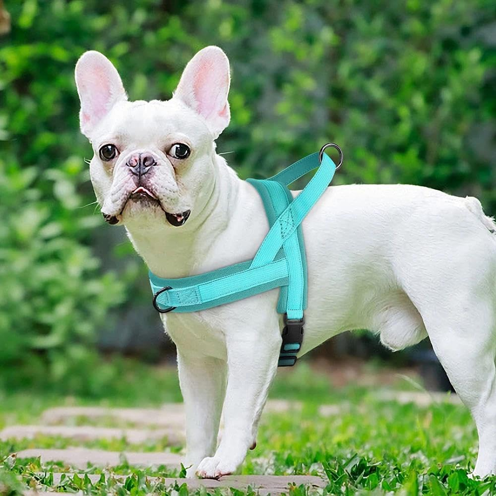 Nylon Dog Harness Soft Comfortable No Pull Small and Medium Dog Harness Adjustable Pet Harness for Chihuahua Pug French Bulldog,D,Xs image number 3