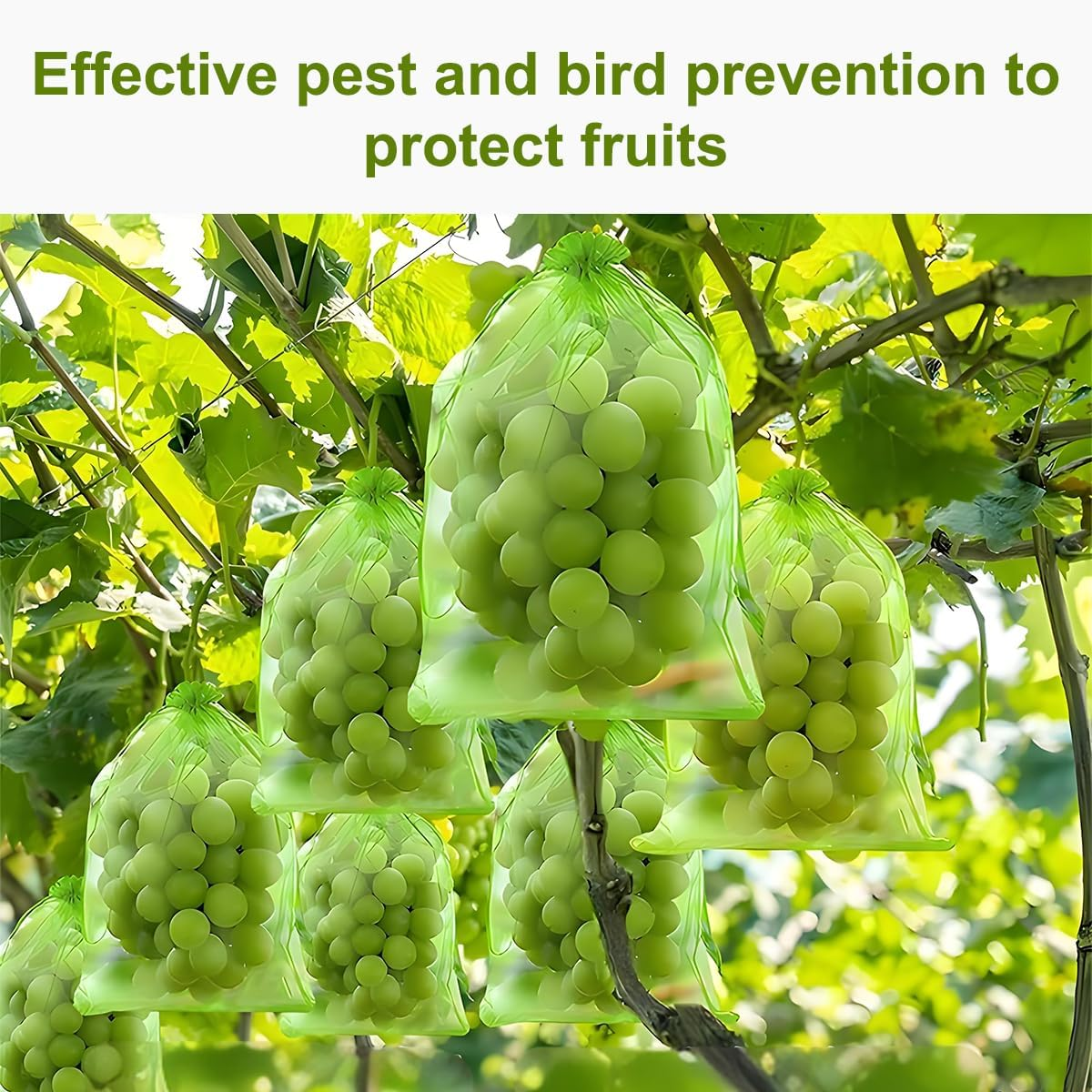 Fruit Protection Bags, 15&times;20Cm，50Pcs, Green，Fruit Cover Net Bags with Drawstring for Grape Apple Mango Peach Protect from Insect Birds Squirrels image number 3