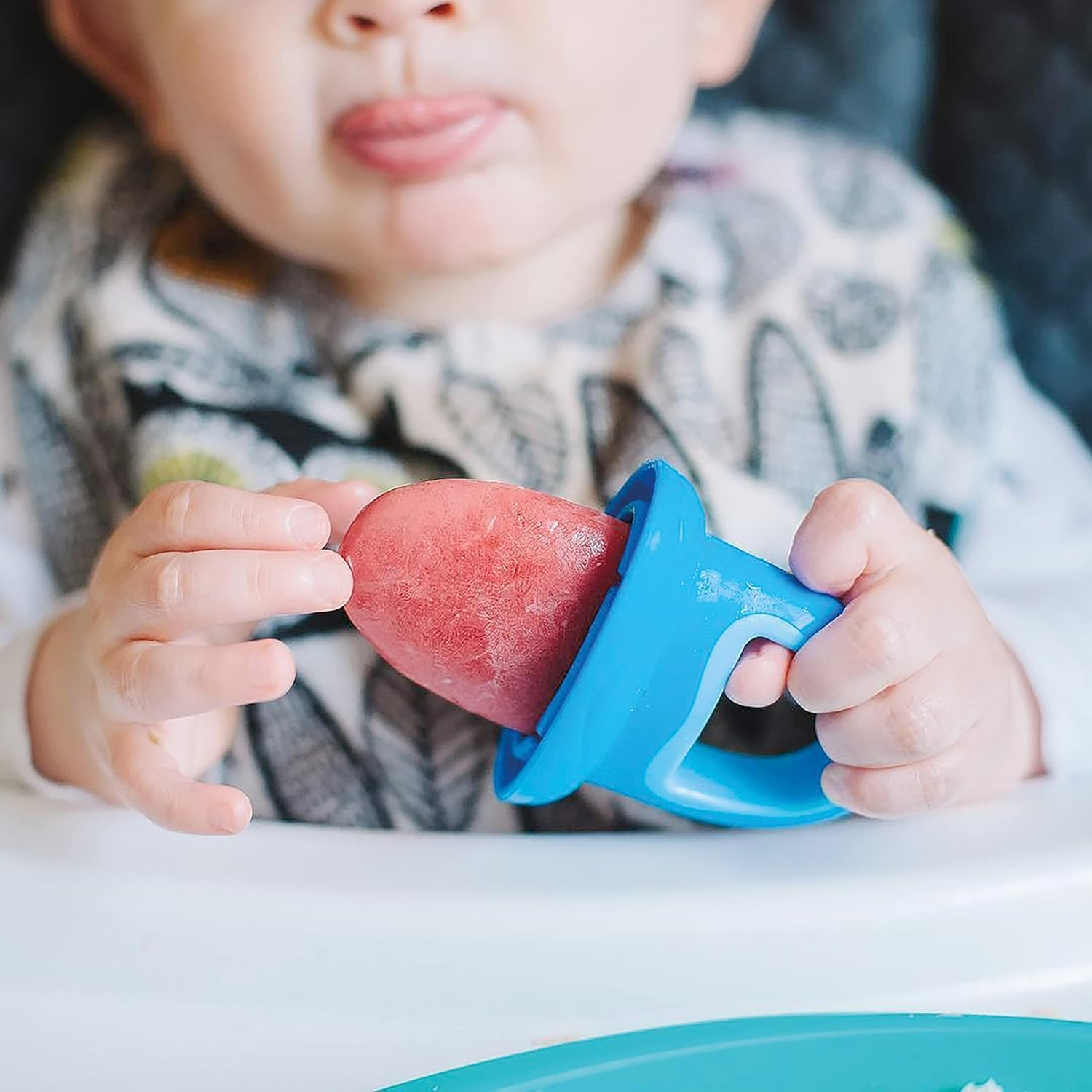 Nuby Garden Fresh Fruitsicle Tray image number 1