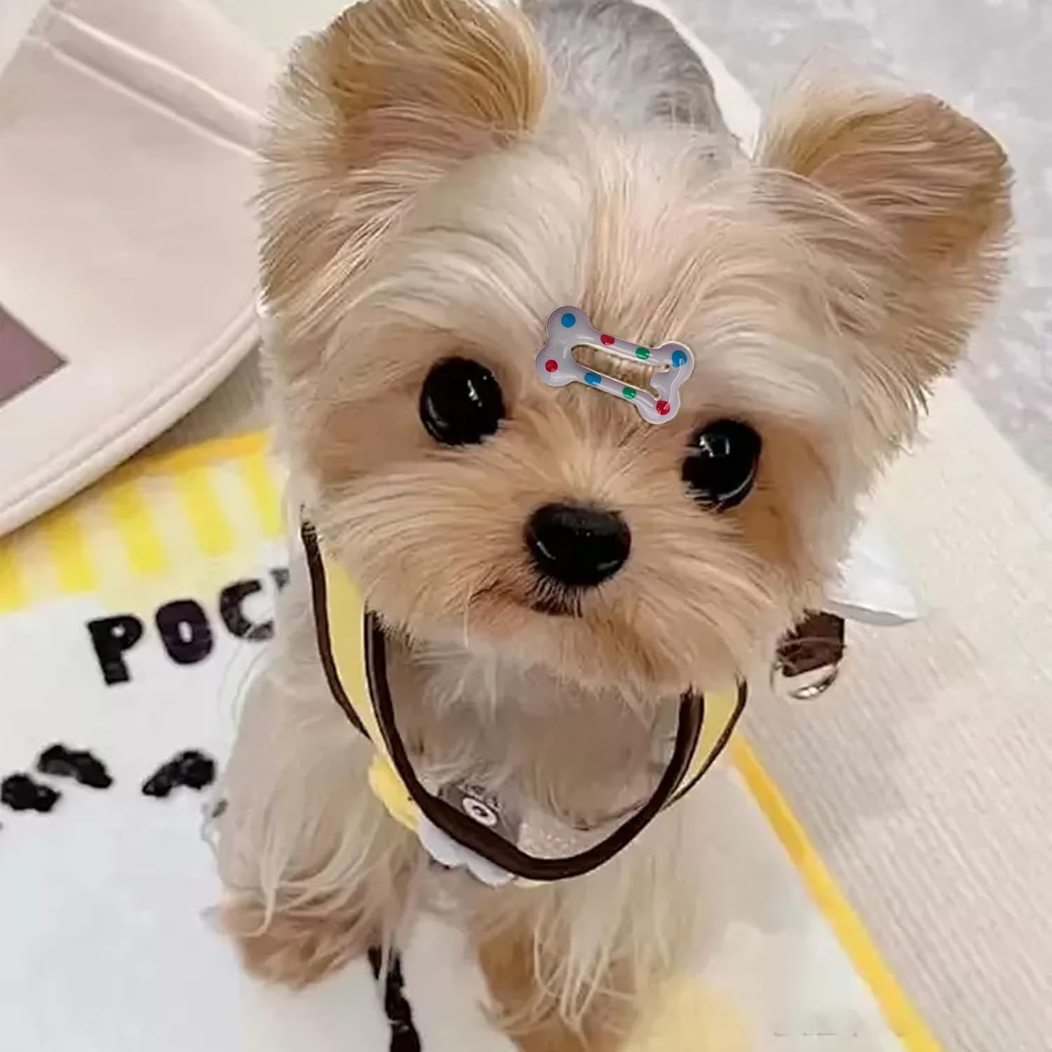 NICENEEDED 50 PCS Bone Shaped Hair Clips, 1" Small Barrettes Dog Hair Clip, Cat Puppy Mini Snap Hair Clip, Pet Grooming Bows Hair Decoration Accessories image number 2