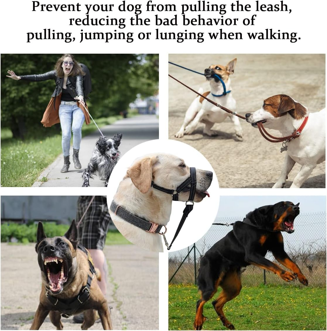 BARKLESS Dog Head Collar, No Pull Head Halter with Soft Padding, Reflective Soft Padded Snout Harness for Large Dogs, Labrador, Golden Retrievers, German Shepherd image number 4