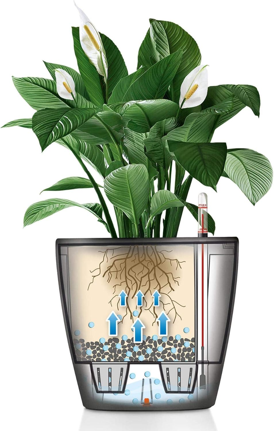 Lechuza Classico LS 50 Self Watering Plant Pot, Charcoal Metallic, 49.5 Width X 46.5 Cm Height image number 6