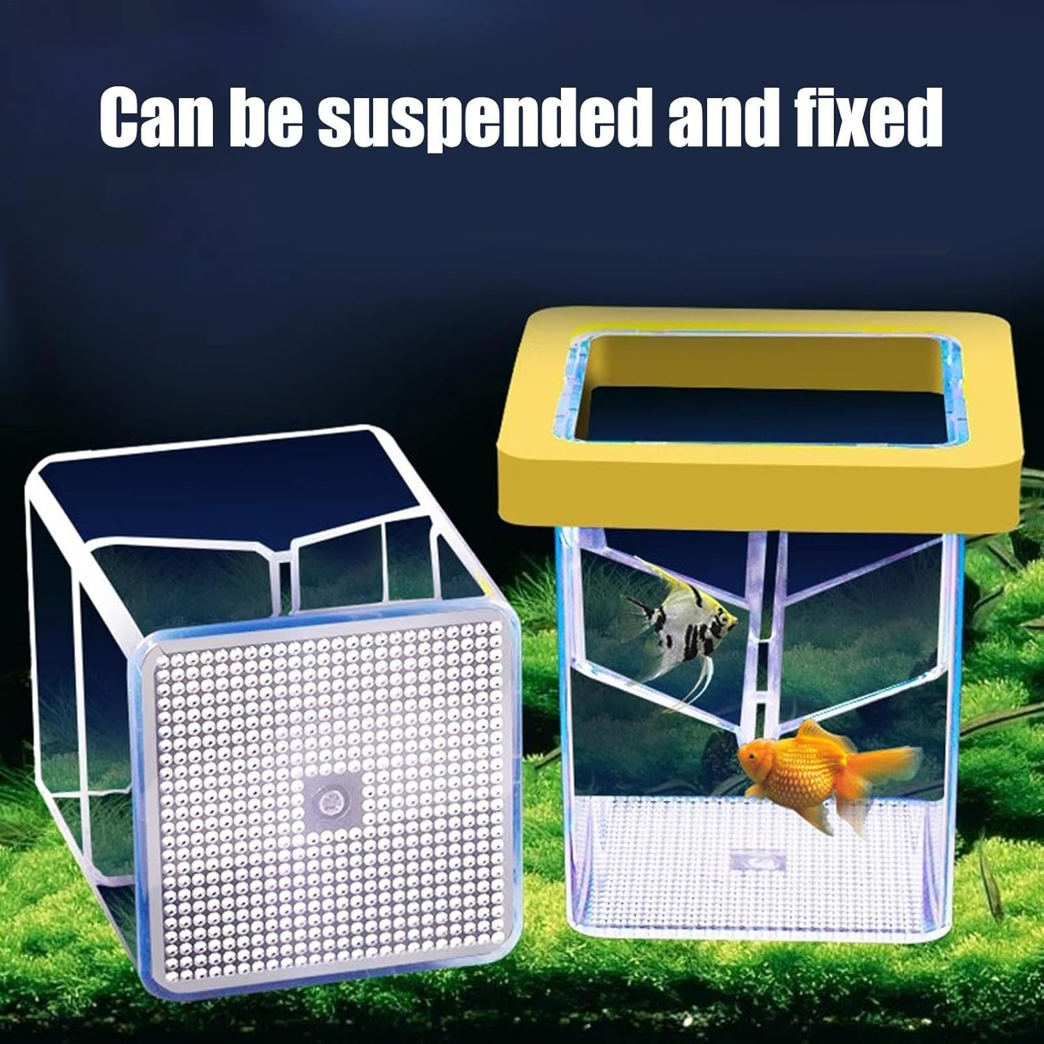 Ccuzs Fish Breeder Box, Aquarium Hatchery Incubator, Transparent Design Easy Installation Fish Nursery, Suction Cup Isolation Container for Aquatic Pets, 4.33X3.39X3.39 Inches image number 6