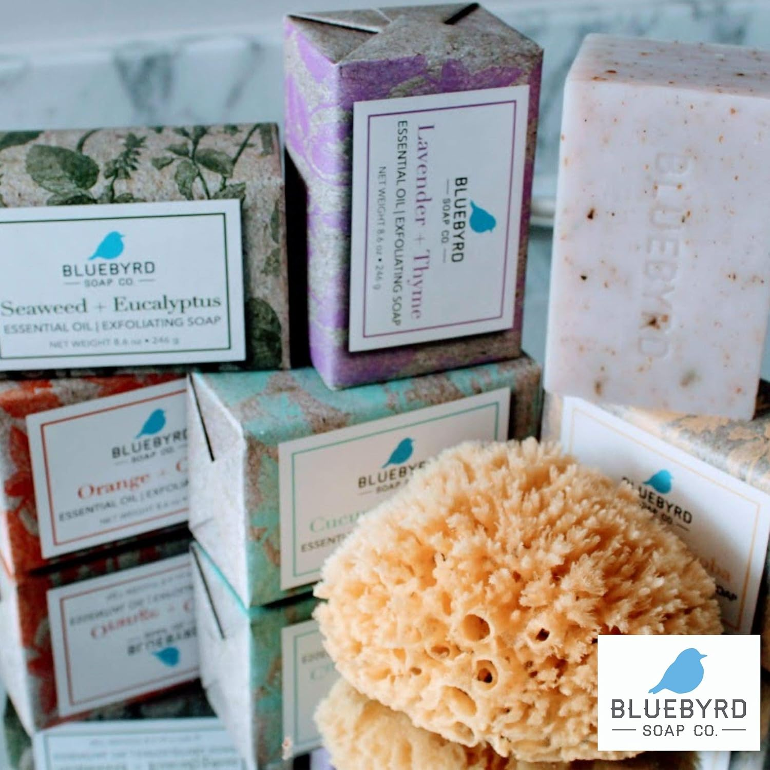 BLUEBYRD 5-Pack Essential Oil Exfoliating Soap Bars Boxed Variety Set, Scented Natural Bar Soap Gift Set, Cucumber Mint/Fragrance Free Goat Milk Jojoba/Lavender Thyme/Orange Clove/Seaweed Eucalyptus image number 1