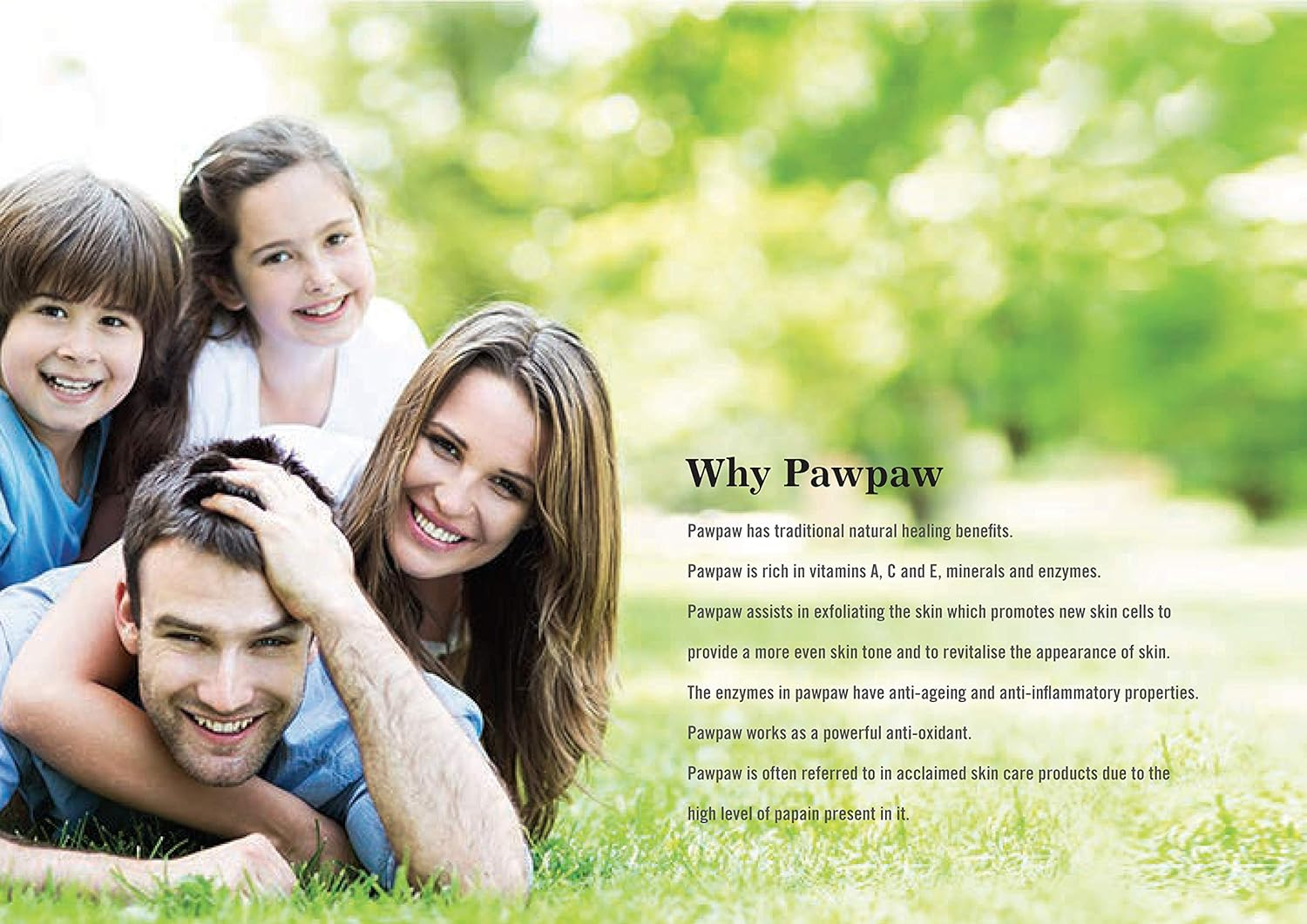 Papayaactivs Complete Skincare Cream 100 Ml image number 1